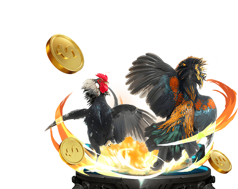 Tổng quan đá gà trực tuyến 88â